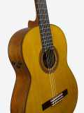 CG-TA TransAcoustic, зображення 10